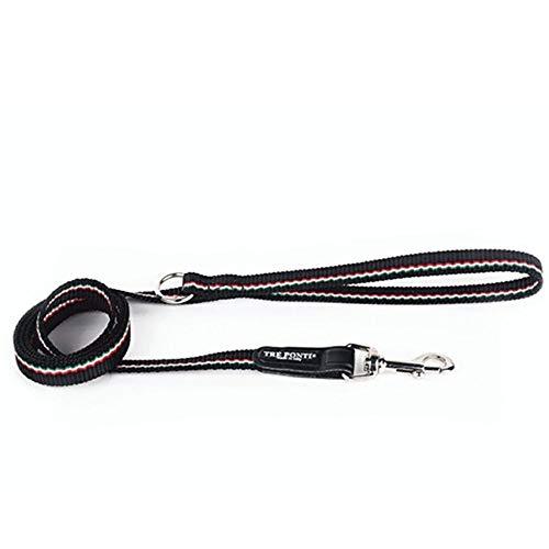 LTP300ECONOMIC LEASH ITALIAN FLAG130ubN