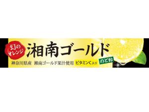 Ecjoy ライオン菓子 ライオン 湘南ゴールドのど飴 10粒 X10 M 販売単位 1セット 10ヶ入 入数10