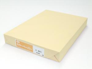 ECJOY!】 サクラ・シノコウ サクラカラーペーパー 色上質紙最厚口 A4判 (250枚×1冊) ﾚﾓﾝ